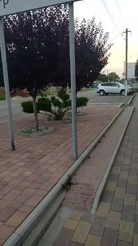 A first-person perspective video shows a sidewalk with brick paving stones and a concrete curb. Two trees are planted in the area between the sidewalk and a road. A white SUV is parked on the side of the road. A utility pole is visible in the background. The lighting suggests it is daytime.