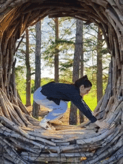 Group enjoys outdoor recreation at Russian woodland retreat