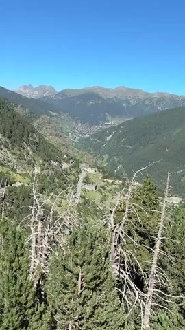 This is a vertical video, likely captured on a smartphone, offering a scenic vista of a mountain valley. The time of day appears to be late morning or early afternoon, indicated by the bright sunlight casting clear shadows and the deep blue of the sky. The weather is fair and sunny, with no clouds visible.

The scene is dominated by lush green, tree-covered mountains that recede into the distance, where a range of paler, rocky peaks is visible under the clear sky. A winding road snakes its way through the valley floor, leading towards a small town nestled in the heart of the mountains. The architecture of the town suggests a European alpine setting. In the foreground, the branches of several dead, weathered trees, along with some evergreen foliage, frame the view, adding a rustic and natural element. The overall impression is one of natural beauty and a sense of tranquil isolation. There is no visible text within the video.