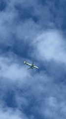 Morning sky watching captures airplane, clouds in Dreiliņi, Latvia