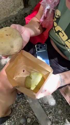 A close-up video shows a person holding a brown paper bag with two pieces of fruit. The person's hands are in the foreground. In their left hand, they hold a round, light-brown fruit with a bite taken out of it, revealing a dark interior with small seeds. In their right hand, they hold the paper bag open, showing a green, pear-shaped fruit with a textured skin inside. A mobile phone with a blue case is visible resting on the person's lap. The person is wearing a dark green t-shirt with a graphic design and a red and white patterned cloth is draped over their shoulder. The background consists of a textured, light-colored wall and a gravelly ground surface, suggesting an outdoor setting. The lighting is bright, with shadows cast by sunlight dappling the ground. The video appears to be filmed from a top-down perspective.