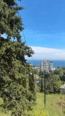 Coastal town residents document ordinary moments during sunny morning