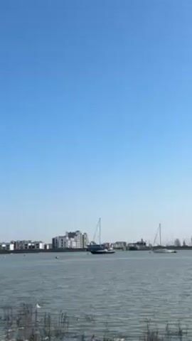 The video presents a wide shot of a calm harbor on a clear day, with a cloudless blue sky overhead. The harbor is lined with modern buildings, varying in height and design, including a pair of cylindrical towers. Several sailboats are moored in the water, their masts standing tall against the skyline. A small, red buoy bobs gently on the water's surface. In the foreground, some overgrown vegetation borders the water’s edge, and a single seagull is visible on the shore.