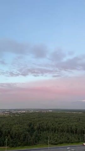 The video captures an aerial view of a vast, dense forest under a sky transitioning from pale blue at the top to soft pink and lavender hues near the horizon. A highway with moving traffic, including cars and trucks, runs alongside the forest on the right side of the frame. Adjacent to the highway, there is a commercial area with buildings and a large parking lot filled with vehicles. The scene appears to be set during either sunrise or sunset, indicated by the colored sky and the soft lighting. There are no visible people in the frame.