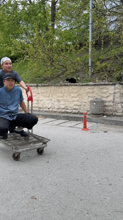 Afternoon leisure activities and street music observed in Varna