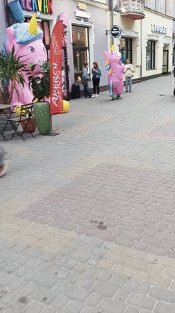 Person in pink unicorn costume walks Ternopil street with child