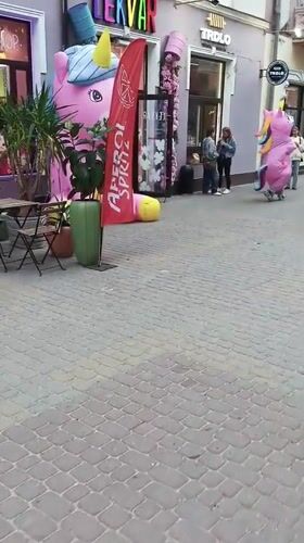 Person in pink unicorn costume walks Ternopil street with child
