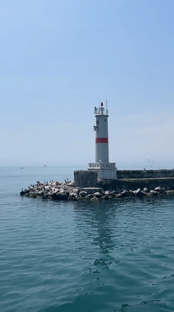 Ferry passenger documents lighthouse and vessel interior near Kadıköy