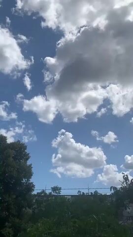 The video shows a bright blue sky filled with fluffy white and gray clouds. The camera angle is looking upwards. In the lower part of the frame, there are dark green trees and the tops of buildings. A bird can be seen flying in the upper right portion of the sky. The lighting suggests it is daytime.