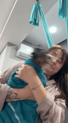 Dog grooming session captured by witnesses in Sochi