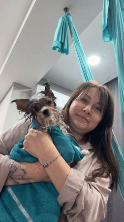Dog grooming session captured by witnesses in Sochi