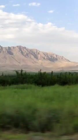 The video shows a blurred view of a landscape from a moving vehicle. In the foreground, there are out-of-focus green bushes or crops and a white pole. In the middle ground, there is a line of dark green trees, possibly an orchard, and further back, some structures appear to be visible. The background is dominated by a large, tan-colored mountain range under a partly cloudy blue sky. The motion blur indicates the video was recorded while in transit.