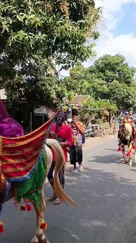 The video shows a street procession. There are several people and horses. The people are wearing traditional clothing. The horses are decorated with colorful fabrics and ornaments. The procession is moving down a paved road lined with trees and buildings. The sky is cloudy. The video appears to be filmed on a sunny day.