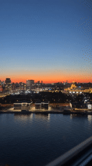 Moscow evening: sunset, Brazil vs. Japan on TV, cat on couch