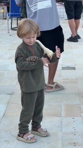 A young boy, dressed in a green fleece zip-up and matching pants, stands on a tiled surface, holding two sugar gliders. One glider is brown and the other is white. The boy is looking at the gliders. A man, visible from the knees up, in black shorts and white sandals, stands to the boy's right. Another man, wearing black pants and shoes, and a watch, hands the boy a bottle of water to give to the gliders. There is a blue chair visible in the background. The lighting is bright, suggesting an outdoor setting.