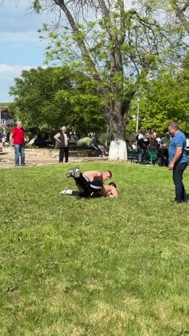 Two men are wrestling on a grassy field in a park. The man on top is shirtless and wearing black pants. The man underneath is wearing black clothing and white sneakers. The men are wrestling near a tree with a white-painted trunk. A small crowd watches the wrestling match, including men in a red shirt and a blue shirt. Some people are sitting on benches in the background. The sky is blue with some clouds.