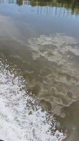 The video shows a first-person perspective from a boat moving through calm, murky water. The wake of the boat is visible on the left side of the frame. The water reflects the sky, which is partly cloudy, and the surrounding vegetation, which appears to be trees and reeds. The boat is moving forward, and the scenery is a river or bayou.