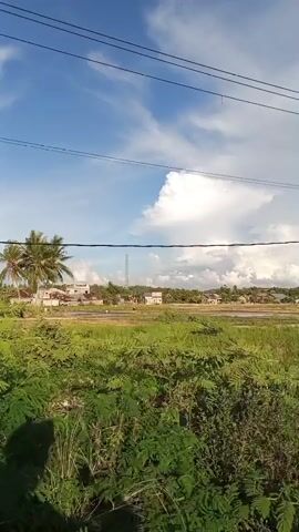 This video shows a roadside view with a rural setting in Geulangganggampong, Indonesia. The scene is a landscape dominated by lush green rice paddies and tall grasses. In the distance, there are scattered houses and trees, indicative of a village or small town. Overhead, a bright blue sky is adorned with large, fluffy white clouds, suggesting pleasant weather, likely mid-morning or afternoon.

Several man-made objects are visible, including power lines crisscrossing the sky and supported by utility poles. A notable object is a white signpost with text on it, positioned near the foreground to the right of center. Although the text is in Indonesian and slightly blurred, the heading "DINAS PENGAIRAN" (Department of Irrigation) is discernible, along with other information concerning land or water management. There's also a glimpse of a concrete structure or pathway in the middle ground, bordered by vegetation.

The activity captured is a static view from a stationary point, perhaps from a vehicle or a person standing by the road. There are no people actively engaged in activity within the frame, though the presence of houses suggests human habitation. The overall mood is serene and tranquil, highlighting the natural beauty of the Indonesian countryside. The time of day is indicated by the bright sunlight and clear sky, pointing towards daytime.