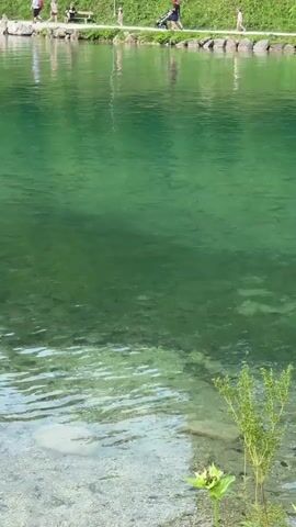 The video shows a clear, shallow body of water with people walking along a path on the far bank. The water is green and reflects the sky. The path is lined with rocks and grass. Several people are visible on the path, some are walking and one appears to be pushing a stroller. The overall scene is peaceful and suggests an outdoor recreational area.