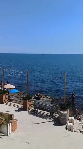 The video shows a seaside scene on a sunny day with a clear blue sky and calm water. Several people are visible in the water swimming and enjoying the sea. On the rocky shore and a wooden platform, other individuals are sunbathing, sitting, and walking. There are beach umbrellas, lounge chairs, potted plants, and some stacked wooden furniture, suggesting a beachside establishment or recreational area. In the distance, sailboats are visible on the horizon. The camera pans across the scene, providing a panoramic view of the beach, the sea, and the people interacting with the environment.