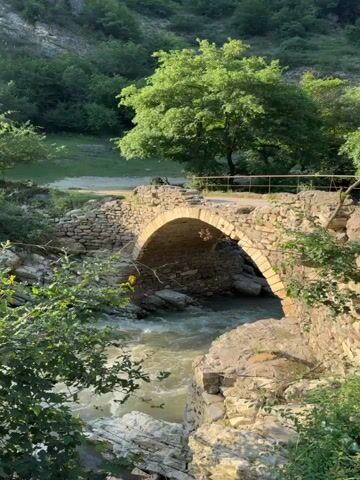 This media file presents a picturesque scene of an ancient stone bridge spanning a rocky river in Khanag, Russia. The bridge, characterized by its arched structure and weathered stones, appears to be a historical landmark. The surrounding environment is lush and verdant, with dense green trees and foliage covering the slopes of the hills. A large, healthy tree with vibrant green leaves stands prominently near the bridge, its branches reaching towards the sky.

The river below the bridge is a torrent of rushing water, flowing over rocks and creating a dynamic, natural spectacle. The water appears somewhat murky, suggesting a natural, untamed waterway. The lighting in the scene indicates it is either early morning or late afternoon, with the sun casting a warm glow on the stone bridge and the surrounding landscape. The overall mood is serene and tranquil, evoking a sense of timeless beauty and connection with nature. There are no people visible in the frame, nor any discernible text. The setting is a rural, natural landscape, suggesting a place of historical and natural significance within Khanag, Russia.