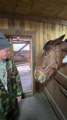 Person tends to horse in Russian stable