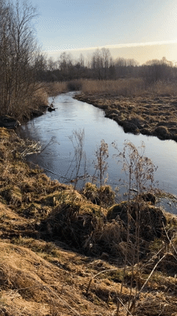 Rural Russia stream and wildlife burrow documented near Ovsishche