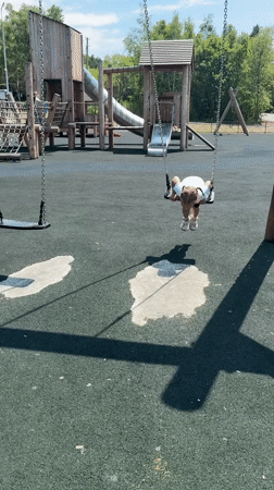 Playground session at a rubber-surfaced park in Gornye Kljuchi