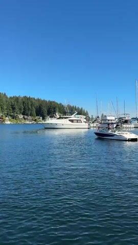 A clear blue sky above a body of water. In the distance, a lush green forest covers a hillside. Several boats are docked and moving in the water. A large white yacht is moving slowly away from the camera on the left side of the frame. In the center and right, a marina is visible with multiple sailboats and other yachts docked. A smaller white speedboat with a blue stripe is moving towards the right side of the frame. Two people are visible in the speedboat, one at the helm and another sitting. The water is calm with gentle ripples.