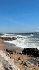 Sunny afternoon scenes captured across Porto's beaches and streets