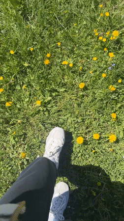 Person stands in dandelion field near Bosača, Montenegro