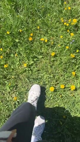 The video starts with a ground-level shot of a person's foot in a white sneaker standing in a field of green grass dotted with yellow dandelions. The camera pans up to reveal a vast, scenic landscape. In the background, there are snow-capped mountains under a clear blue sky. The middle ground features a scattering of houses amongst lush green trees, primarily firs. The houses have varied roof colors, including red, white, and gray. The foreground is a meadow of vibrant green grass filled with many small yellow dandelions. The scene captures a peaceful and idyllic mountain vista.