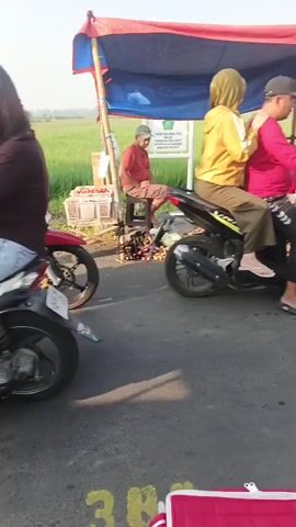 The video shows a roadside scene with several people on and around motorcycles, likely in a rural setting. There are two red motorcycles and one black scooter visible. A makeshift stall with a red and blue tarp is set up on the side of the road, with produce, possibly ginger or turmeric, displayed on the ground.

In the foreground, a red motorcycle is parked facing left. To its right, a black scooter is occupied by a woman in a yellow hijab and a man in a red shirt, both wearing helmets. They are facing away from the camera. Another woman in a pink hijab is sitting on the ground to the left, next to a pile of produce.

Further back, a woman in a blue and white patterned outfit is on the black scooter, holding two young children. Another woman in a pink outfit is also on the scooter behind the driver, holding another child. A truck is parked behind the scooters. A person in a red shirt and cap is sitting on a stool near the stall. The background shows a green field, likely rice paddies, under a bright sky. The road appears to be paved.