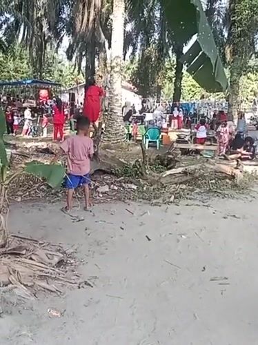 Indonesian Independence Day village celebration with panjat pinang pole climb
