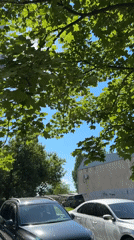 Sunny summer morning in a Kropyvnytskyi neighborhood
