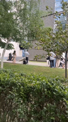 Formal outdoor gathering documented in Blagoevgrad park setting
