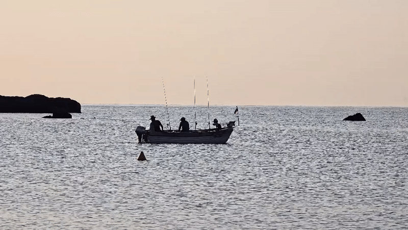 Quiet coastal morning: boats, paddleboarding, and beach shade
