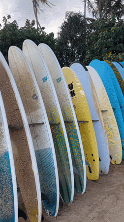 Lazy beach afternoon at a surf spot in Peleana, Sri Lanka