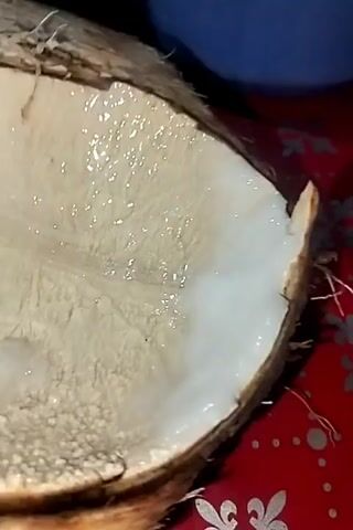 Here is a description of the video:

A close-up shot shows the inside of a half-cut coconut resting on a red surface with a floral pattern. The coconut flesh is mostly white with a translucent, watery layer. A hand holding a silver spoon scrapes the flesh, scooping up the watery substance.  The spoon is then raised, revealing a thick, slightly chunky, white and translucent substance collected on the spoon.