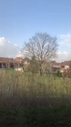 The video presents a rural landscape under a blue sky with scattered white clouds.  Tall, dry reeds stand in the foreground, partially obscuring a green field. Beyond the field, a cluster of buildings, including a church with a small spire, are visible, their roofs colored in shades of red. Several trees, some bare and others evergreen, are interspersed among the buildings. A gray pole stands on the right side of the frame, partially obscuring the scene. The perspective appears to be from a slightly elevated position, perhaps from a road or path, as a portion of pavement is visible at the bottom right corner.