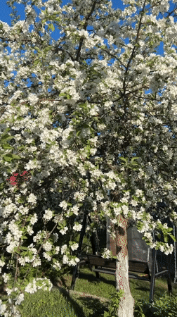 Spring moments captured in rural Dubovaya, Russia
