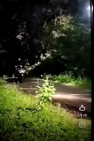 The video opens with a blurry shot of a person on a motorcycle at night, their headlights illuminating a dark, tree-lined road. The scene is grainy and difficult to discern. The camera then pans to the right, showing more of the road and the dense foliage on either side. A second motorcycle appears briefly in the frame, also at night and partially obscured. The video then cuts to a close-up shot of a customized purple motorcycle parked on a paved surface. The motorcycle has elaborate rims and a sleek, modern design. The background appears to be a blurred cityscape or suburban area. The video is short and consists of these three distinct scenes, transitioning abruptly between them.