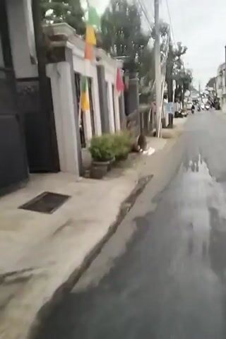 The video shows a street scene in what appears to be a residential area. The camera is moving, suggesting it is being held by someone walking or riding a vehicle. On the left side of the frame, there is a house with a gray wall and a dark gate. Plants in pots are lined up along the sidewalk in front of the house. Further down the street, there are more buildings and some trees. On the right side of the frame, the asphalt road is visible, and it appears to be wet, reflecting the sky. Several motorcycles are parked along the side of the road, and a few appear to be in motion further down the street. The sky is overcast, and the lighting suggests it might be early morning or late afternoon, or possibly a cloudy day. There are utility poles and wires visible overhead.