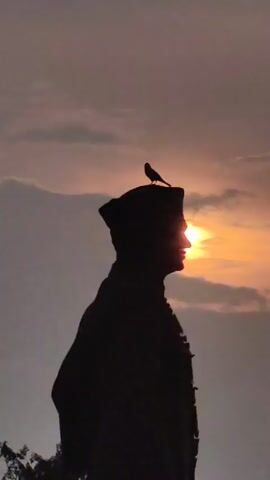 A silhouette of a statue is visible against a sunset. The statue is wearing a hat and what appears to be a garland around its neck. A small bird is perched on top of the statue's hat. The sun is partially obscured by the statue's head, casting a warm orange glow. The sky is filled with soft, diffused clouds, suggesting twilight or early evening. In the bottom left corner, the silhouette of some trees is visible. The video is shot in portrait mode.
