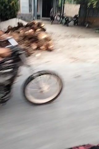 The video is a first-person perspective of someone moving alongside a paved road. On the left side of the road, there is an unpaved area with vegetation. In the initial frames, there are what appear to be buildings with windows and some parked motorcycles. As the video progresses, the unpaved area becomes more overgrown with various types of plants, including what look like banana trees and tall grasses. The movement is continuous, suggesting the person is walking or riding a vehicle. The lighting suggests it is daytime.