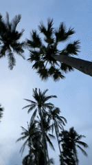 Evening beach life and street scenes documented in Karon, Thailand