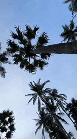 Evening beach life and street scenes documented in Karon, Thailand