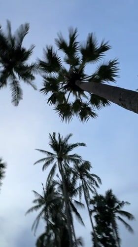 Evening beach life and street scenes documented in Karon, Thailand