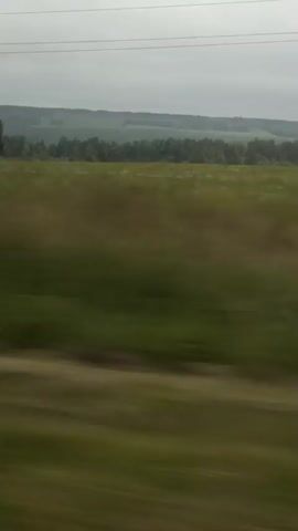 The video shows a landscape with a field of green and brown grass in the foreground, with trees and hills in the background. The video appears to be taken from a moving vehicle, as the landscape is blurred. The sky is overcast.