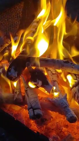 The video shows a close-up view of a campfire. The flames are bright orange and yellow, flickering over a pile of burning logs and glowing embers. The logs are partially consumed, with some showing charred bark and exposed wood. The embers glow with a deep red hue. The camera angle is low, focusing on the heat and intensity of the fire. There are no people or other objects visible in the frame. The environment appears to be outdoors, possibly a campsite or backyard.